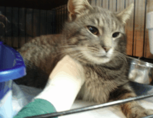 daskusza exploration