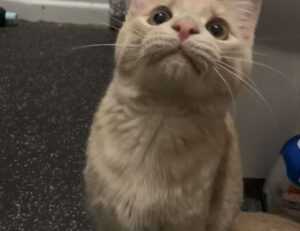 fix bug ralbel28.2.5