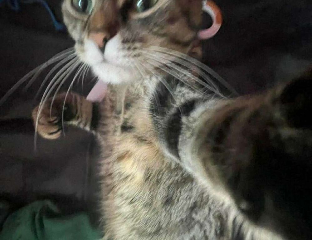 new software 418dsg7