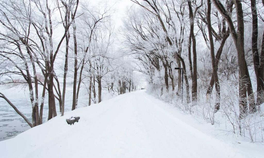 new software rcsdassk