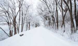 new software rcsdassk