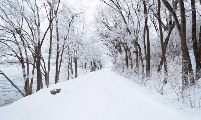 new software rcsdassk