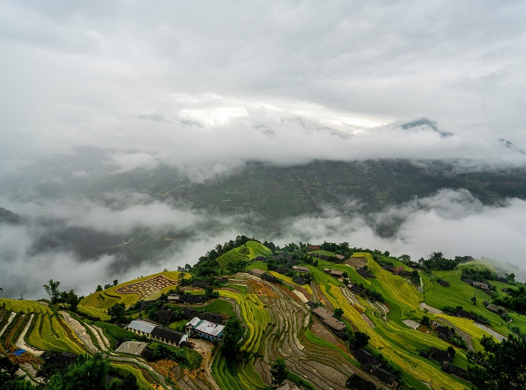 Infoguide for Kittens Llblogpet