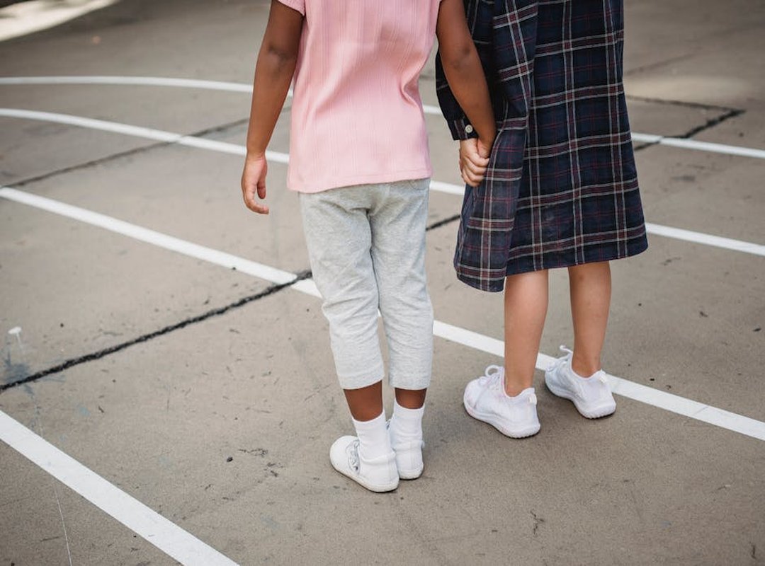 Infoguide for Kittens Llblogpet