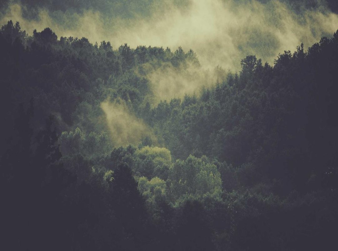 Where to Find Her Official Content: Navigating Social Media