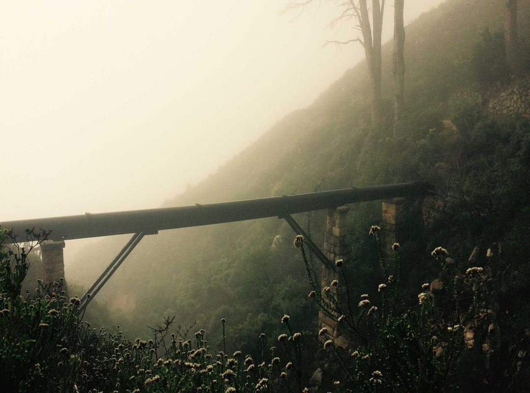 Comparative Analysis: Key Matchups and Player Comparisons