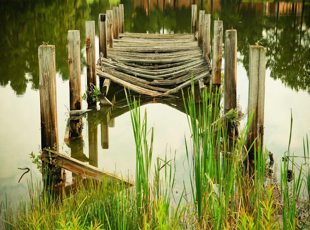 Key Differences: Steatopygia vs. Other Gluteal Enhancements