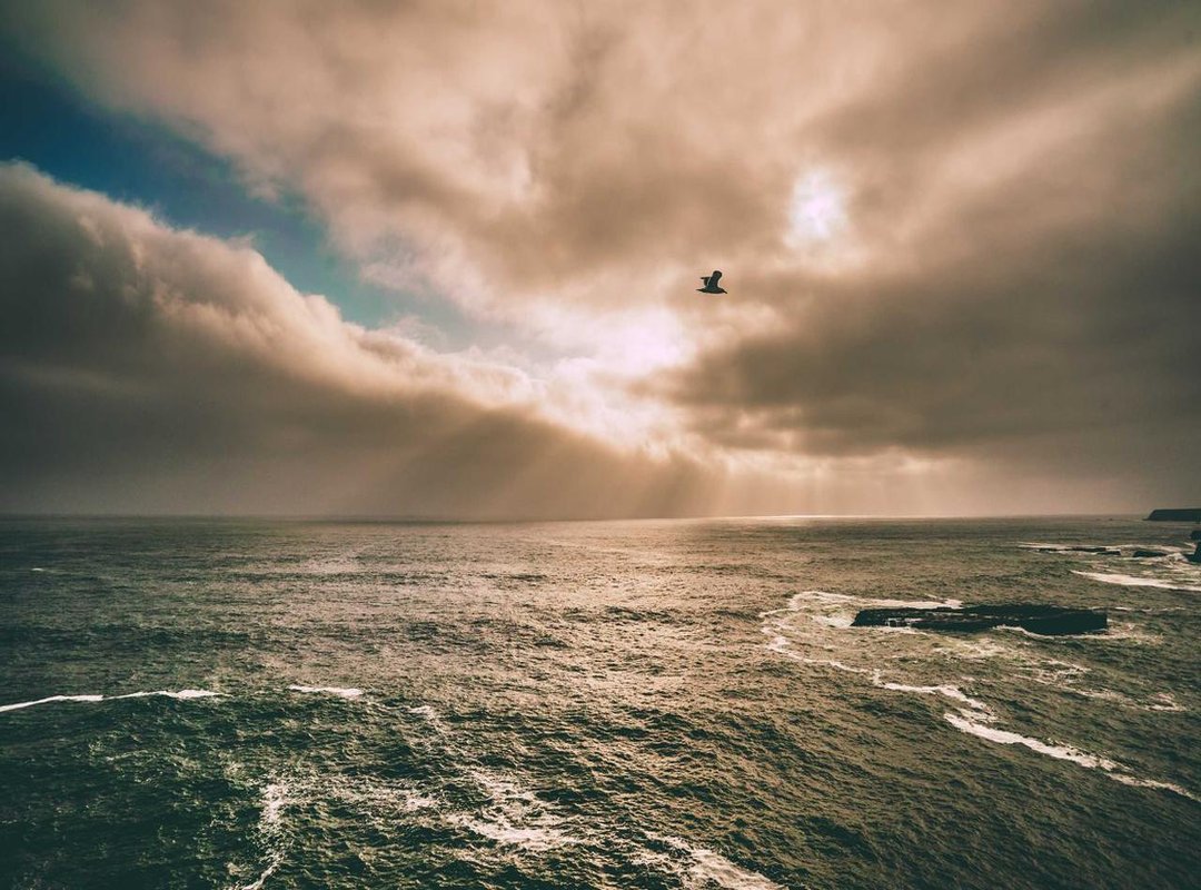 The Final Blow: Typhoon Khanun and the Mass Evacuation