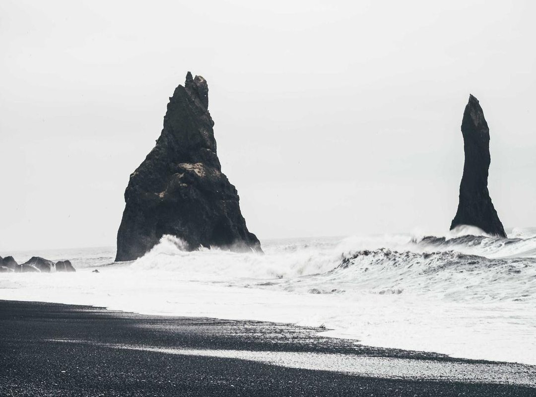 The Viral Aftermath: Public Reaction and Media Coverage