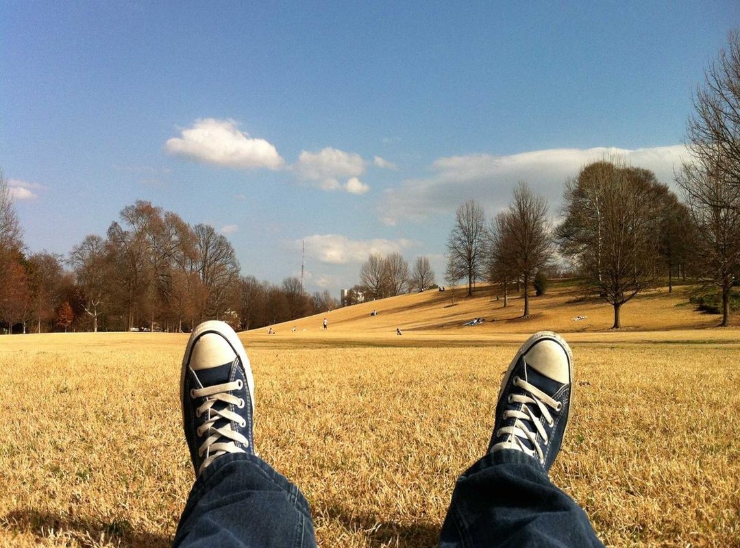 Important Information: Safety, Support, and Promotions